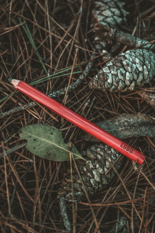 Pencil