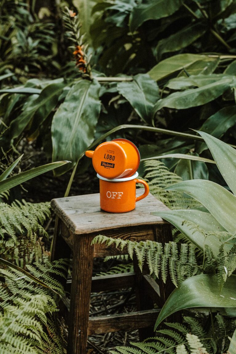 NM mug 06